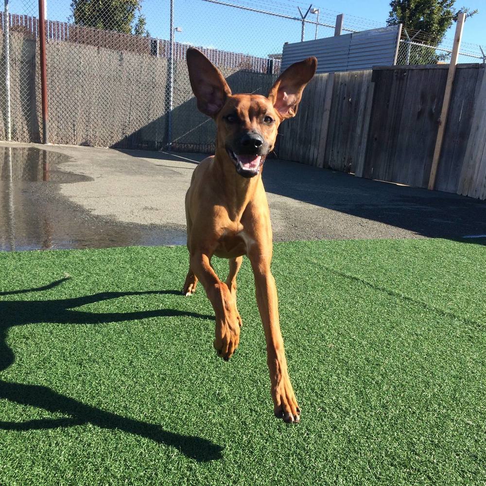 Meet your Posher, Beverly